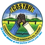logo-COSYBU-MEMBRE-01-removebg-preview
